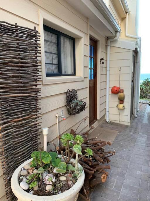 Baby Whale Bliss - Beachfront House Witsand Exterior photo